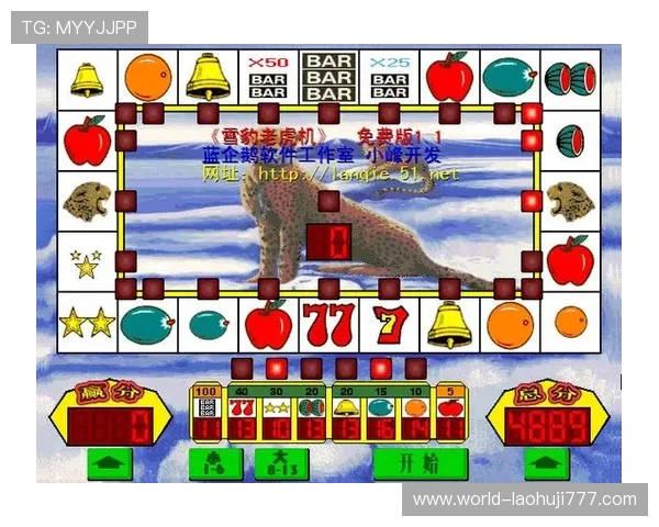 哪里可以购买到优质的老虎机游戏机设备推荐与购买技巧