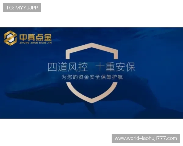 YOPLAY电子平台安全保障措施详解确保玩家游戏体验与资金安全